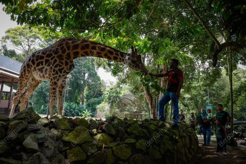 ZOO MELAKA