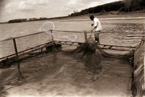 PROJEK TERNAKAN IKAN DALAM SANGKAR