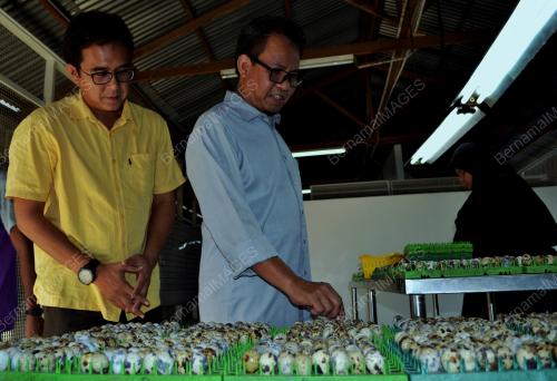 MK03_07032019_SOFI_PUYUH