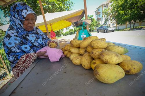 MK03_07062019_MANGGA_BN201905230428