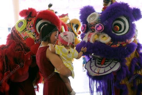 MK03_08022016_TARIAN_SINGA