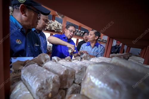 DATUK MUHD KAHIR RAZMAN MOHAMED ANUAR