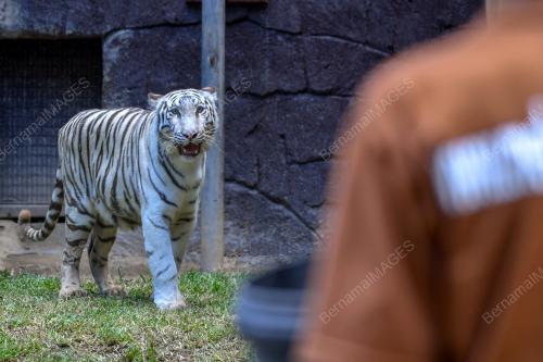 ZOO MELAKA