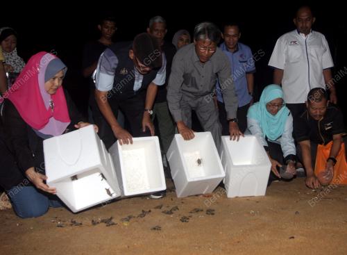 MK03_11052016_PELEPASAN_PENYU