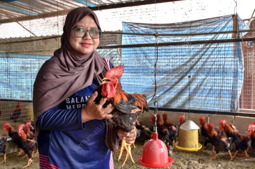 SUHAITI ARIFFIN