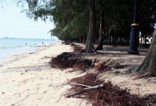 HAKISAN PANTAI PUTERI