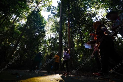 TAMAN BOTANIKAL