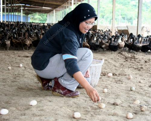 ELLY YUZA MAHMUD