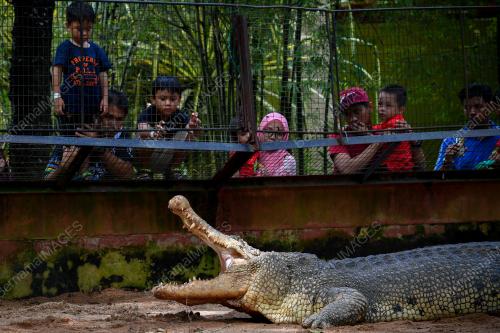TAMAN BUAYA DAN REKREASI MELAKA