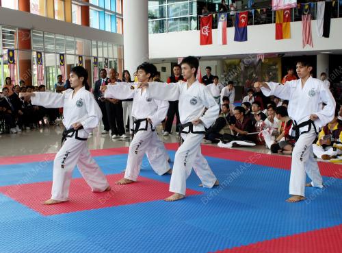 TAEKWONDO ITF