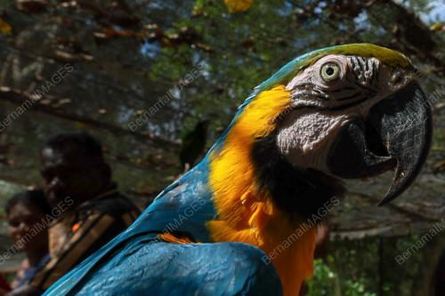 ZOO MELAKA