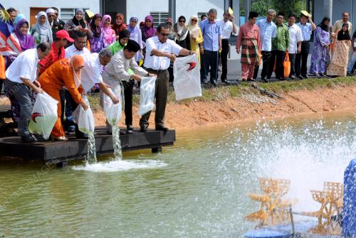 MK03_20042012_KOLAM_IKAN_1