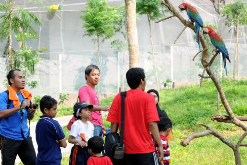 MK03_23032013_LIHAT_BURUNG