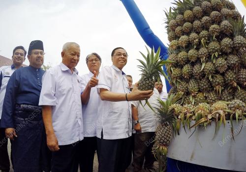 MK03_24042015_HARI_PELADANG