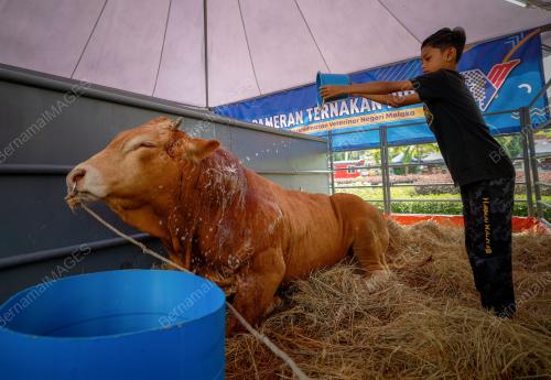 MELAKA AGROFEST 2023