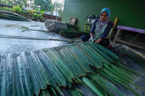 MK03_24122025_ATAP_NIPAH