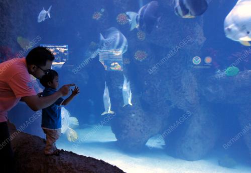 MK03_29012015_OCEANARIUM