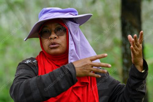 CHAHAYA ABDUL MANAN