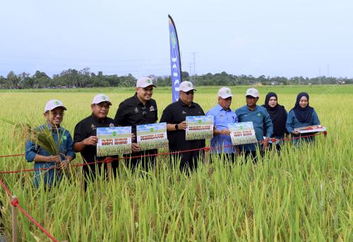 DATUK SERI MOHAMAD SABU