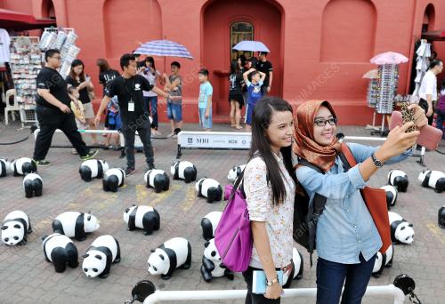 MK04_06012015_PANDA