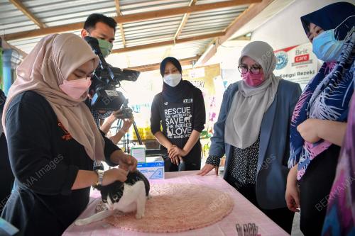 DATUK MAS ERMIEYATI SAMSUDIN
