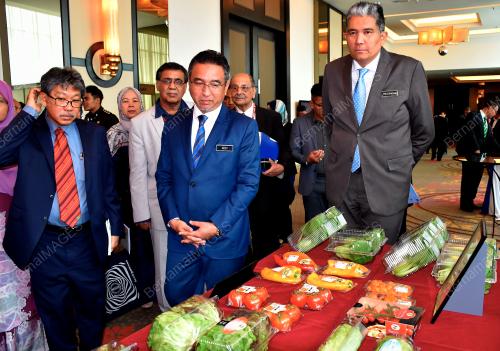 MK04_09072019_SAYUR_BN201907064317