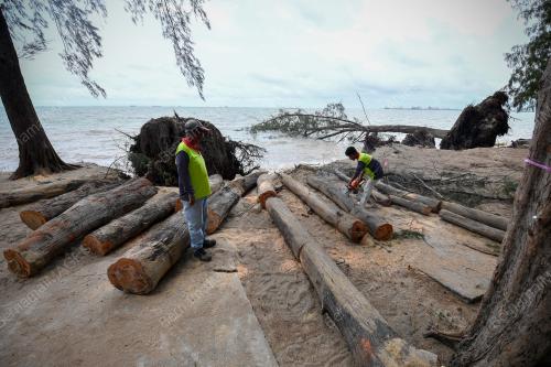 HAKISAN TEBING PANTAI PUTERI