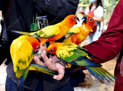 ZOO_MELAKA