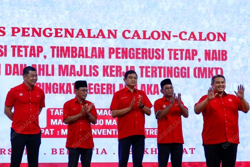 CALON PEMILIHAN UMNO