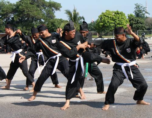 PERSEMBAHAN SENI SILAT GAYUNG MALAYSIA