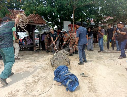 JABATAN BOMBA DAN PENYELAMAT MALAYSIA