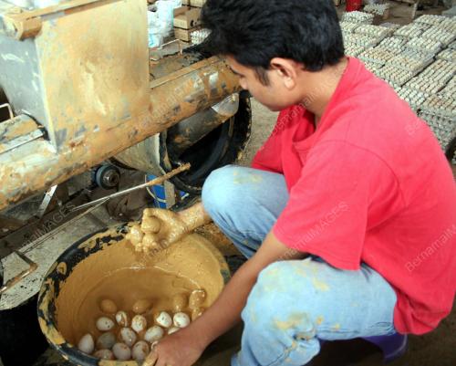 PROSES MEMBUAT TELUR MASIN