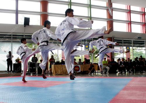 TAEKWONDO ITF
