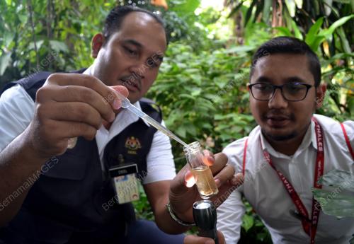 MK04_20012016_OPERASI_AEDES
