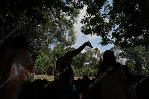 ZOO MELAKA