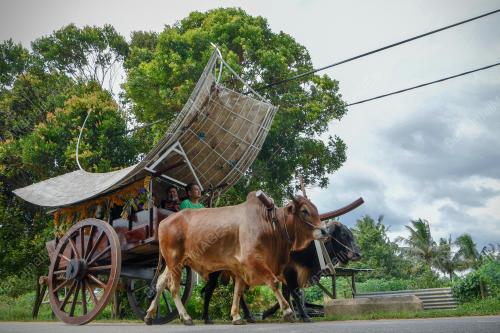 KERETA LEMBU MELAKA