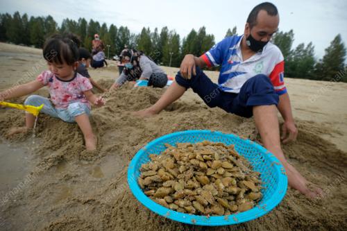 PESTA SIPUT