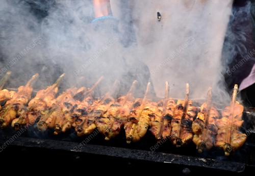 AYAM PERCIK HUTAN PERCHA