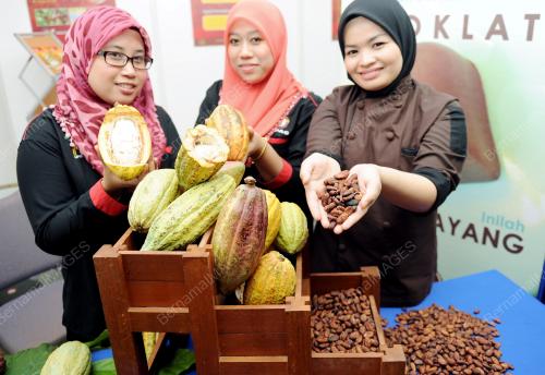 MK05_02102012_BUAH_KOKO
