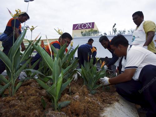 TREE PLANTING AEON MALACA