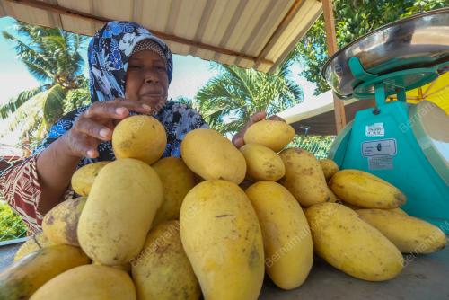 MK05_07062019_MANGGA_BN201905230428
