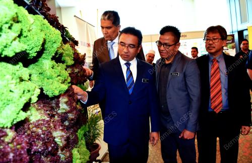 MK05_09072019_SAYUR_BN201907064317
