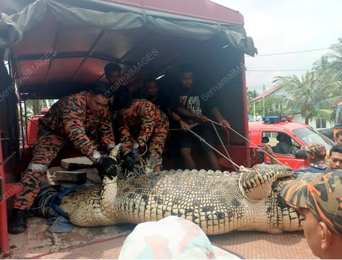 JABATAN BOMBA DAN PENYELAMAT MALAYSIA