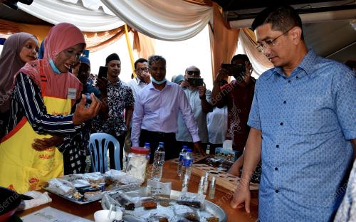 DATUK SERI MOHAMED AZMIN ALI