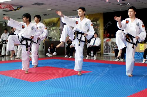 TAEKWONDO ITF