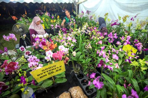 MELAKA AGROFEST