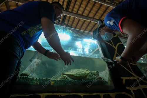 TAMAN BUAYA DAN REKREASI MELAKA