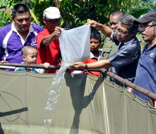 MK05_31122011_BANTUAN_IKAN