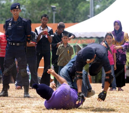 MK06_01032014_KARNIVAL_UMNO