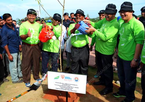 MK06_03012016_TNB_POKOK